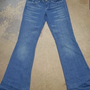 American Eagle Outfitters Blue Flare Jeans